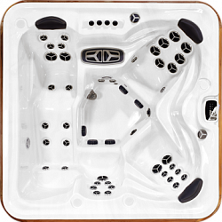 Спа бассейн Arctic spas Cub LEGEND